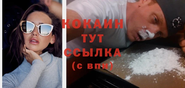 дживик Абинск