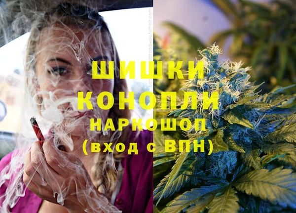 дживик Абинск