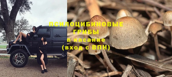 дживик Абинск