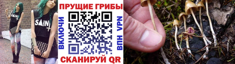 Галлюциногенные грибы мухоморы  наркота  mega ссылка  Ачхой-Мартан 