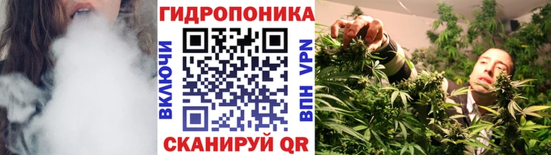 Бошки марихуана индика Ачхой-Мартан