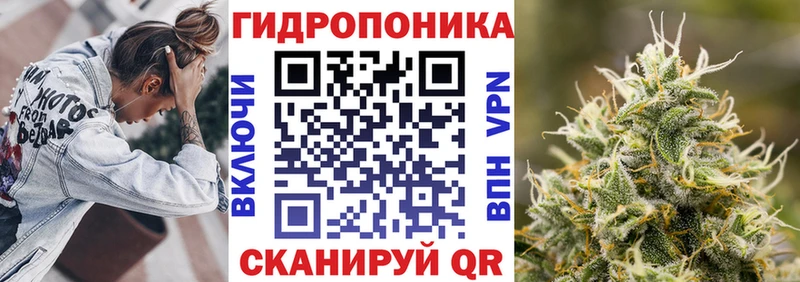 hydra как войти Ачхой-Мартан Шишки марихуана MAZAR